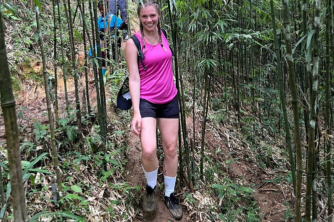 Daily Tour: Sapa Trekking in Muong Hoa valley, Bamboo forest - Bamboo Forest Section: Shade, Texture, and a Break From Open Views