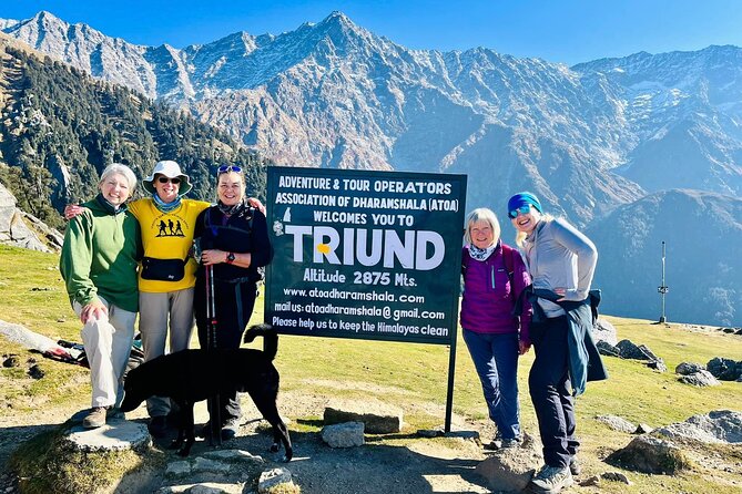 Dalai Lama Himalayan Trek - Rhododendrons and Magic View tea: the Triund approach
