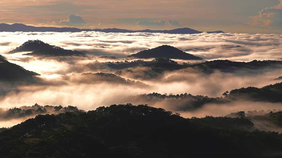 Dalat: Sunrise Trekking and Cloud Hunting experience - Breakfast at the Top: Instant Noodles, Coffee, and Real Warmth