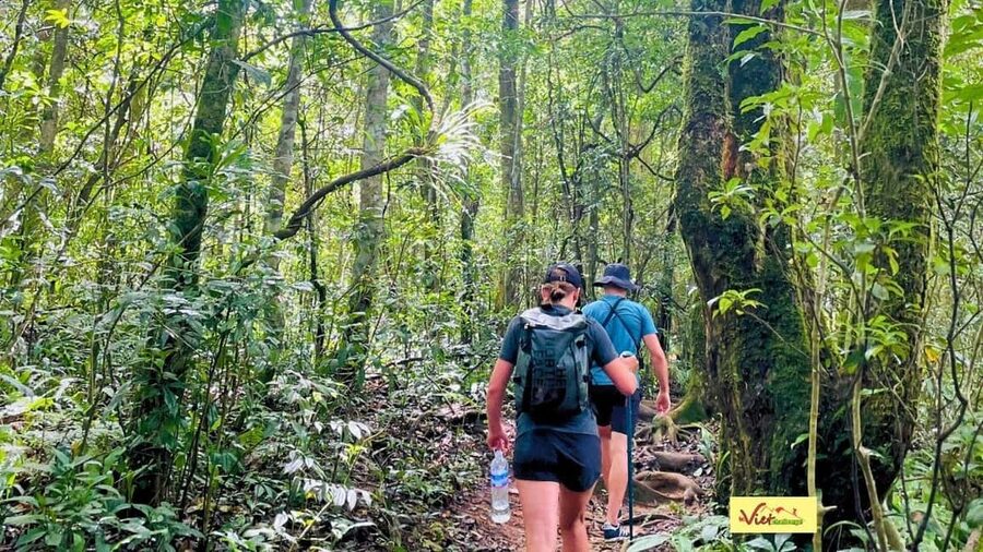 DaLat: Trek on Langbiang Mountain - Climb the 9km to Langbian peak: Pine to broad-leaf, plus wildlife chances