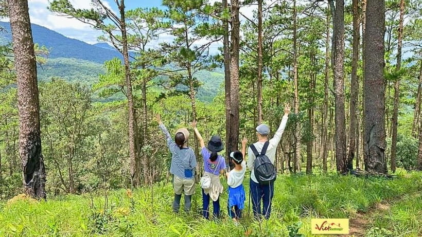 DALAT: Trekking Pinhatt & Sup/Kayaking Tuyen Lam Lake Tour - Should you book the Pinhatt and Tuyen Lam Lake SUP tour?