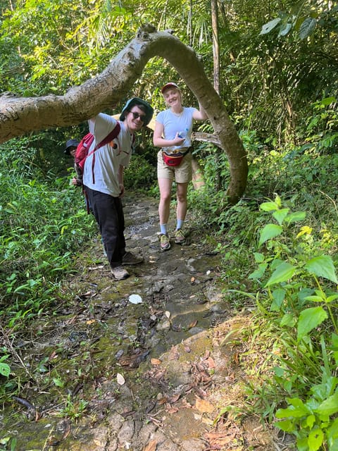 Dalat Trekking to Langbiang mt - The trek plan: a guided climb with forest walking and scenic stops