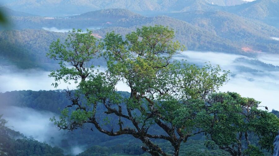Dalat Trekking to Langbiang mt - Who should book this trek (and who should choose another plan)