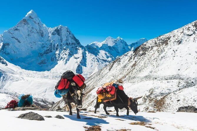 Dancing in the Manaslu Circuit Trek - Day 2: Maccha Khola to Jagat, Past Tatopani’s Hot Springs