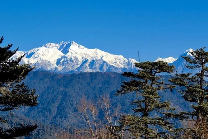 Darjeeling Tonglu Day Trek - A 6:00 am Tonglu start that shapes the whole day