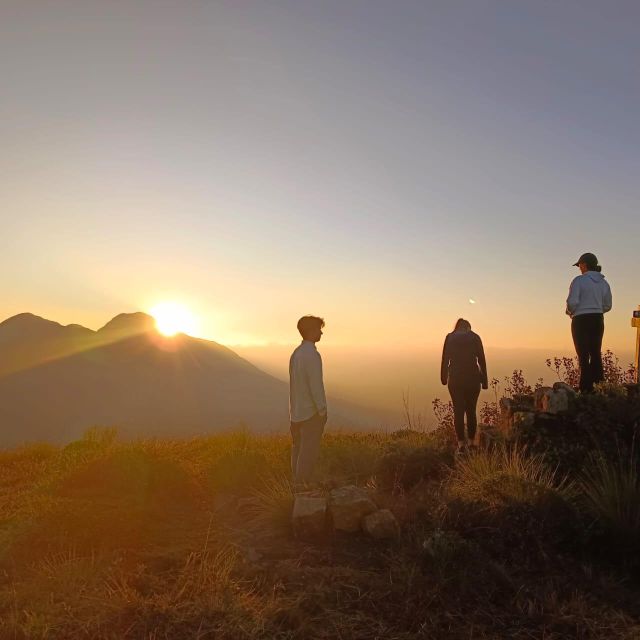 Dawn's Embrace: Sun Rise Trek at Lakshmi Hills, Munnar - The Tea Museum: how you turn sight into understanding