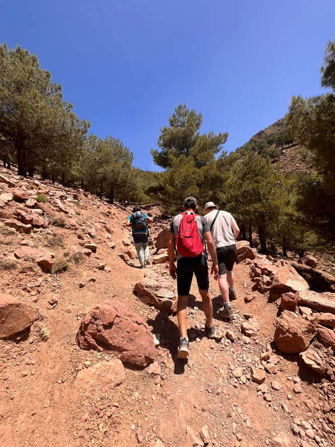 Day Trek In Atlas Mountais & Taoudja Summit 2720m - Taoudja 2720 m: what you’re actually chasing