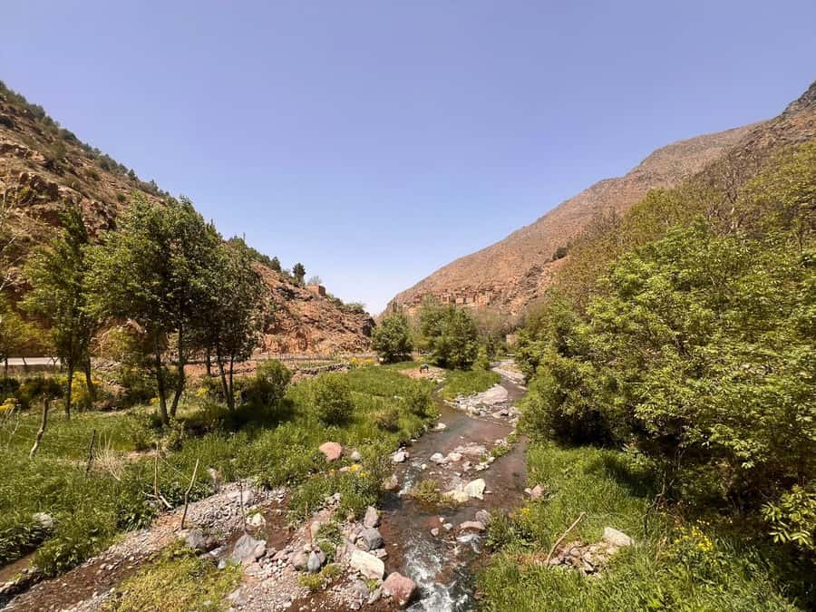 Day Trek In Atlas Mountais & Taoudja Summit 2720m - Pine forest walking and valley panoramas