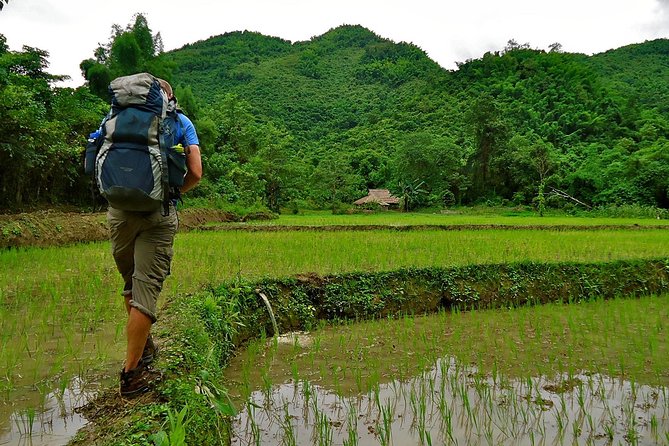 Day Trek to Kuangsi Waterfall and Bear Sanctuary - Luang Prabang full day tour - Why a guided Kuang Si trek feels worth it