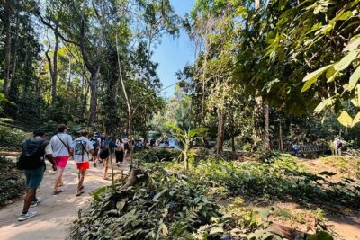 Day Trek to Kuangsi Waterfall and Bear Sanctuary - Luang Prabang full day tour - Morning logistics from Luang Prabang (and why the start time matters)