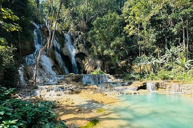 Day Trek to Kuangsi Waterfall and Bear Sanctuary - Luang Prabang full day tour - The Nature Reserve and Bear Rescue Center: more than a photo stop