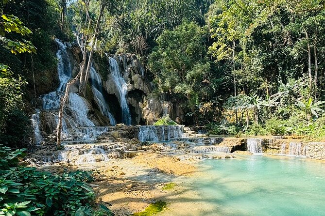 Day Trek to Kuangsi Waterfall and Bear Sanctuary - Luang Prabang full day tour - Guides and group size: how the day stays manageable