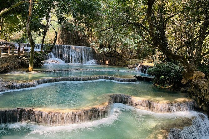 Day Trek to Kuangsi Waterfall and Bear Sanctuary - Luang Prabang full day tour - Price and value: what you’re really paying for
