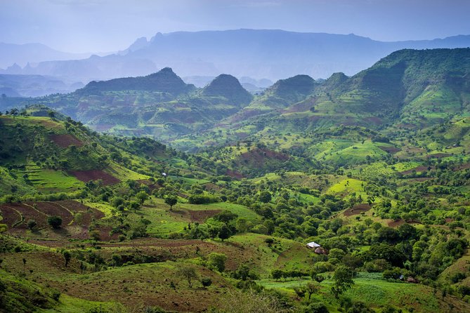 Day trek to Simien Mountain - From Gondar to Debark: how the day gets rolling