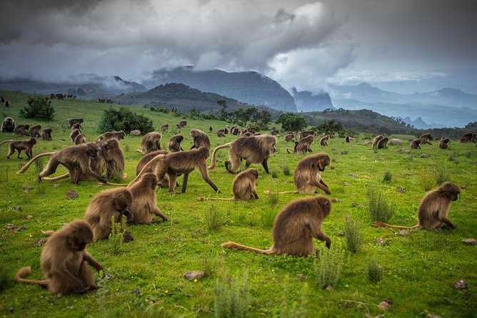 Day trek to Simien Mountain - Entering Simien Mountains National Park at the gate