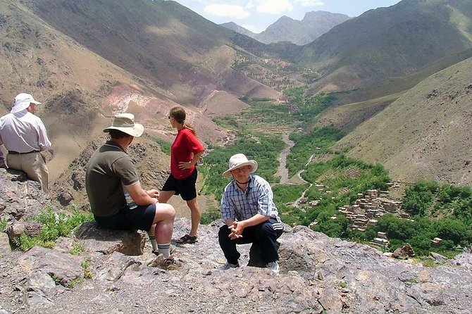 Day Trekking Atlas Mountains - Camel and mule rides: fun additions with real trade-offs