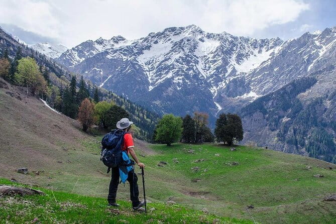 Dayara Bugyal and Surya Top Trek - Day 3: Dayara Top (12 km Round Trip) and the 360° Payoff