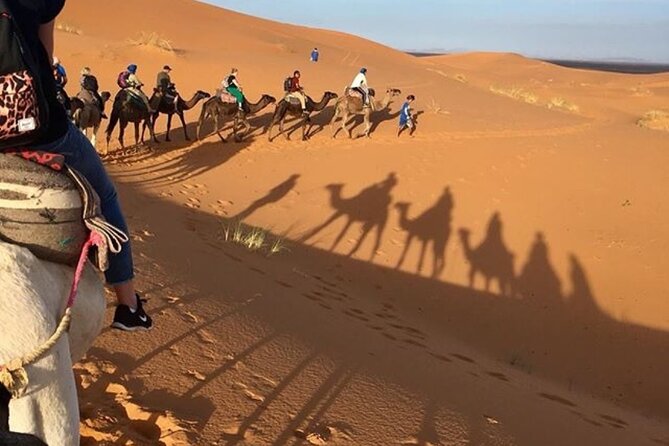 Desert excursion with camel trek into the camp Dinner breakfast - From Marrakech Rhythm to Merzouga Quiet