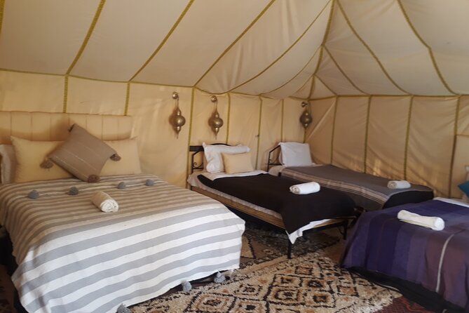 Desert excursion with camel trek into the camp Dinner breakfast - Who Should Book This Camel Trek in Merzouga