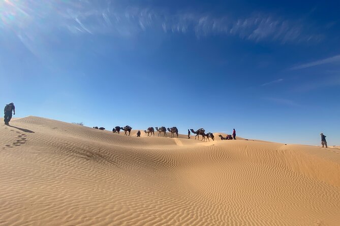 Desert tours and adventurous camel trekking through the Sahara - The dunes around Douz: your first taste of the Sahara rhythm