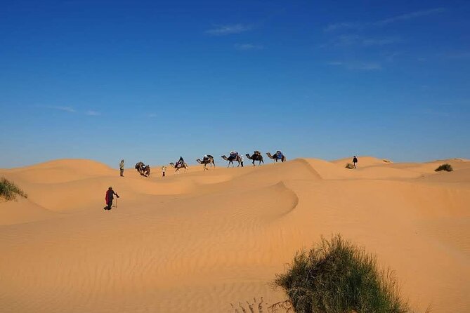 Desert tours and adventurous camel trekking through the Sahara - Camel trekking and on-foot hikes: choosing your pace in the same day