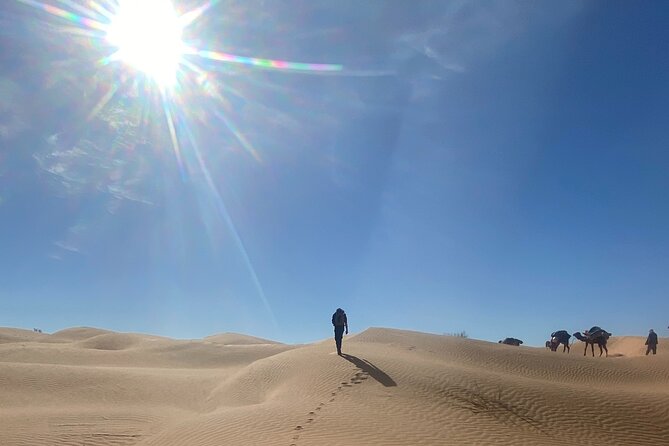 Desert tours and adventurous camel trekking through the Sahara - Douz souks and city center time: short local access, not a rushed stop