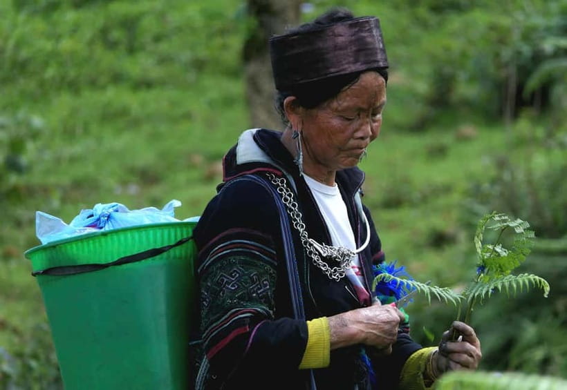 Discover Sapa: 2D1N Trekking Adventure & Cozy LaLa Homestay - Who This Tour Fits Best (and Who Might Want Something Different)