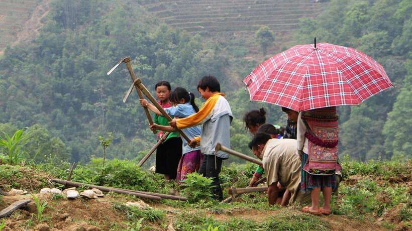 Discover Sapa Trekking with optional Cultural Homestay - Why This Sapa Trek Feels Less Like a Package Tour