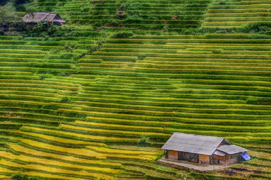 Discover Sapa Trekking with optional Cultural Homestay - The 9 AM Start: From Sapa Stone Church Into Y Linh Ho