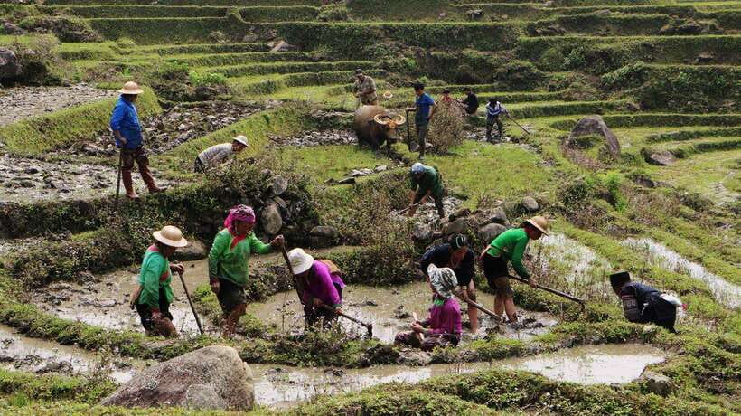 Discover Sapa Trekking with optional Cultural Homestay - Ta Van Village: Dzay Life, Rice Terraces, and Late-Day Views