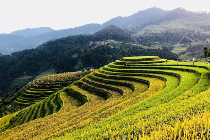 Discover the Beauty of Sa Pa: A One-Day Trek - The walking reality: 5 to 6 hours is active, not casual