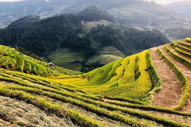 Discover the Beauty of Sa Pa: A One-Day Trek - Price and value: why $19 can work (if you use what’s included)