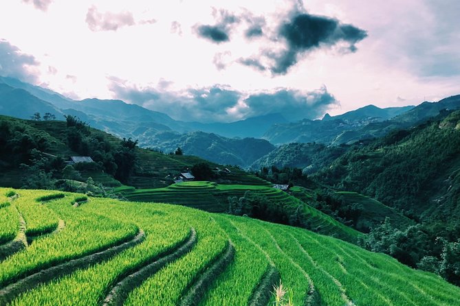 Discover the Beauty of Sa Pa: A One-Day Trek - Guides matter: Lin, Su, and ZiZi bring the villages into focus