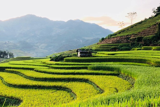 Discover the Beauty of Sa Pa: A One-Day Trek - Y Linh Ho and the Black Hmong: what the guide helps you see