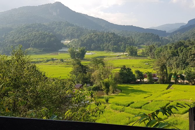 Doi inthanon National Park + 2Hour Fantastic Trekking with Lunch - Wachirathan Falls: The Splashy Finale