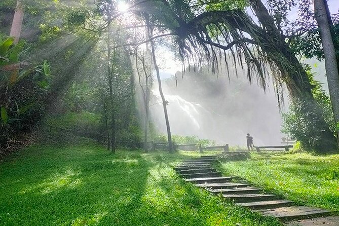 Doi Inthanon Private Trek & Lunch Tour from Chiang Mai - Why Doi Inthanon feels different from your Chiang Mai days