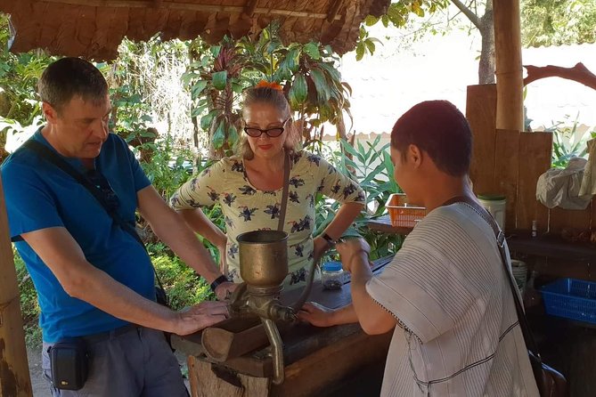 Doi Suthep Tour: Trekking at Doi Inthanon National Park with Lunch - Doi Inthanon National Park trekking: what the hike part actually delivers