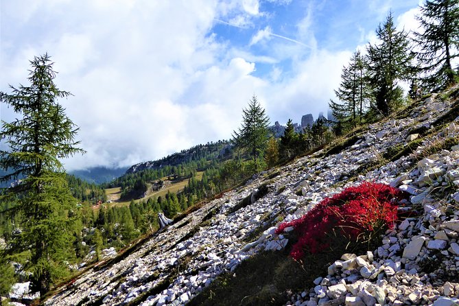 Dolomites Trekking Experience - Meeting at Cortina d’Ampezzo and how the schedule works