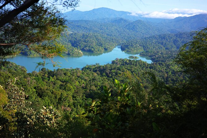 Dragonback Trek - A Small-Group Jungle Ridge Trek Right Outside Kuala Lumpur
