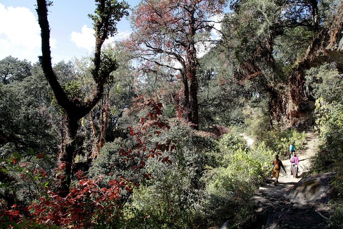 Druk Path Trek: Discover The Raw Natural Beauty of Bhutan - The Taktsang hike that doubles as acclimatization (and a reality check)