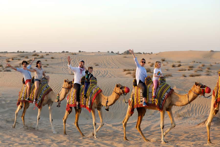 Dubai: Half-Day Camel Trekking with Al Marmoom Breakfast - Price and Value: What $95 Buys in 5 Hours (and What It Doesn’t)
