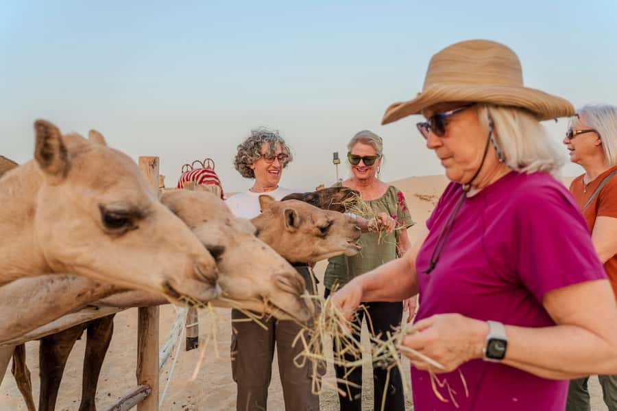 Dubai: Half-Day Camel Trekking with Al Marmoom Breakfast - Timing, Group Flow, and Heat: Make the Most of a Morning Trek