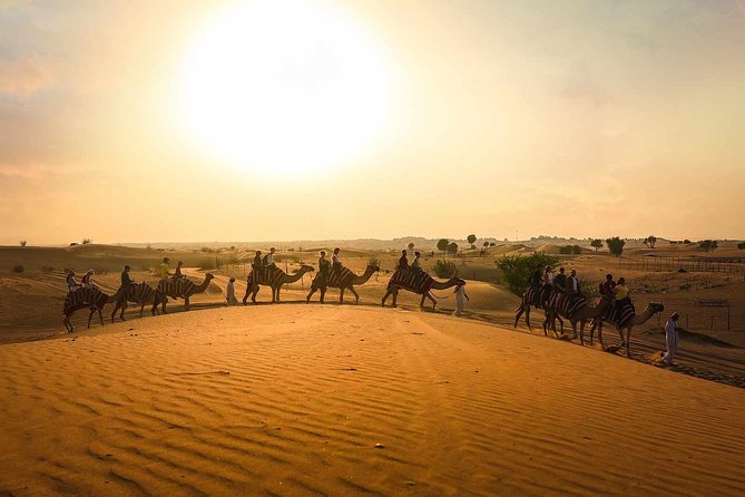 Dubai: Sunset Camel Trek, Al Khayma Camp, Stargazing & BBQ - Key Highlights You’ll Care About