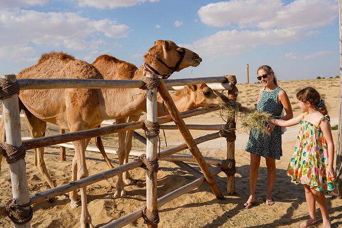Dubai: Sunset Camel Trek, Al Khayma Camp, Stargazing & BBQ - BBQ Buffet Dinner in the Dunes: Where the Value Starts to Make Sense