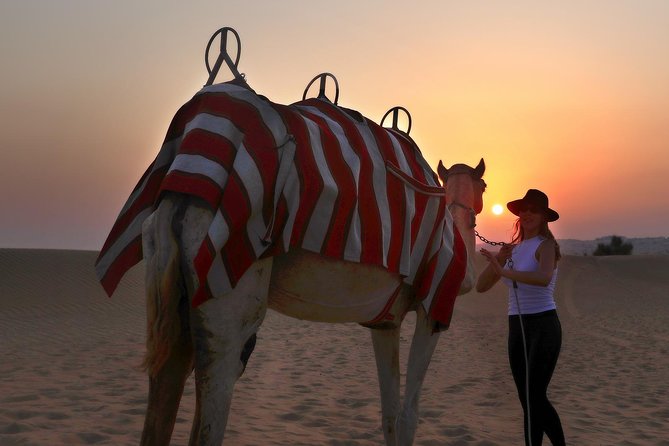 Dubai Sunset Camel Trekking With BBQ Dinner at VIP Camp - Dubai Sunset Camel Trekking: What Makes This One Work for First-Timers