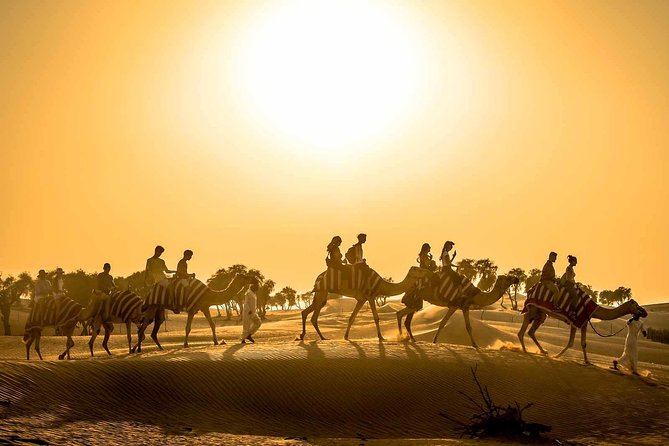 Dubai Sunset Camel Trekking with Shows & BBQ Dinner - Key things that make this night work