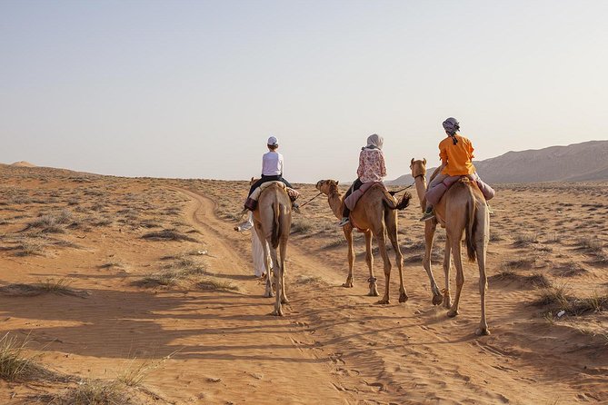 Dubai Sunset Camel Trekking with Shows & BBQ Dinner - Henna, shisha, and falcon photos without the awkward wait