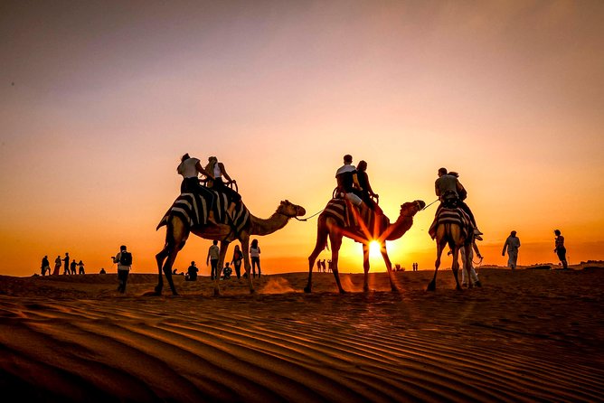 Dubai Sunset Camel Trekking with Shows & BBQ Dinner - Shows and BBQ dinner: fire, dance, and when to expect the food