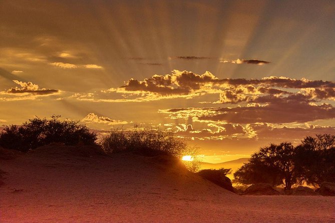Early Morning Desert Safari With Camel Trekking Experience - Key highlights you’ll care about