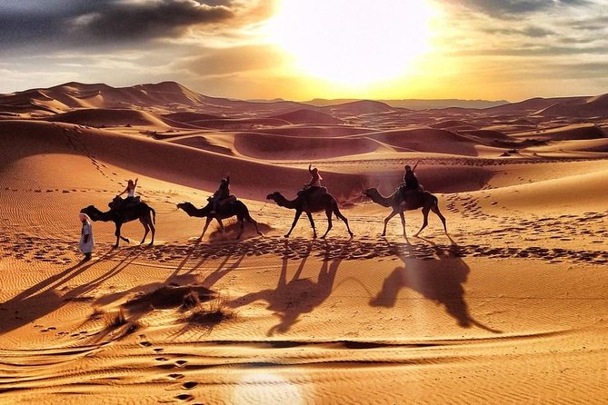 Early Morning Desert Safari With Camel Trekking Experience - What’s included (and what you’ll likely need to bring)